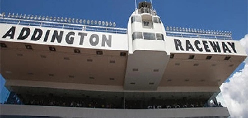 A greyhound had to be euthanised after being trampled by other dogs at Addington Raceway yesterday. Photo / Supplied