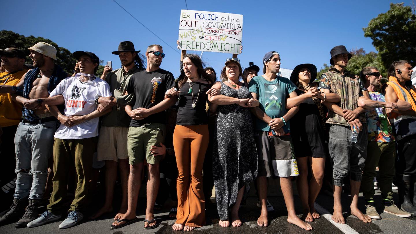Anti-mandate protesters at Parliament in Wellington. (Photo / George Heard)