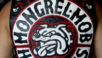 'Family crest': Judge orders police to return gang member's seized patch