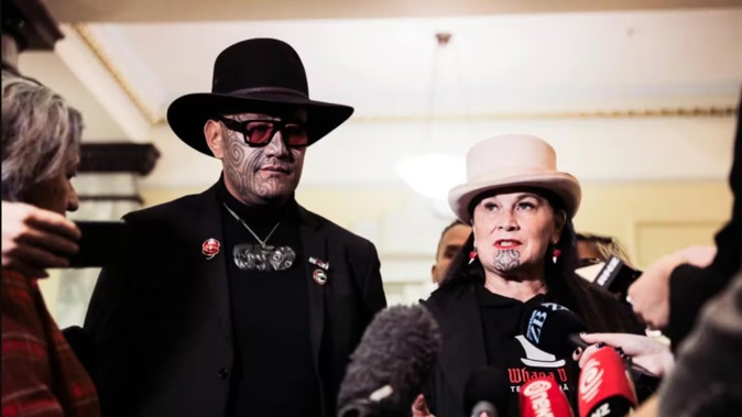 Te Pāti Māori has filed urgent High Court proceedings over reports of people being removed from the electoral roll. Photo / RNZ