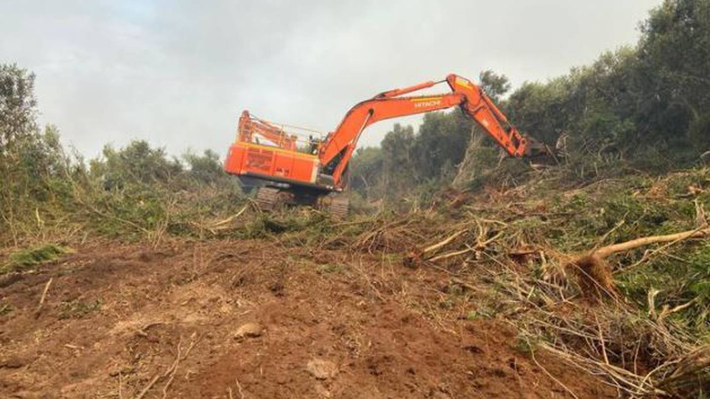 Heavy machinery was brought in to widen an existing track and create firebreaks, as well as around orchards. Photo / Facebook, Northland – Fire and Emergency