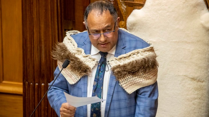 Speaker Adrian Rurawhe. Photo / Mark Mitchell