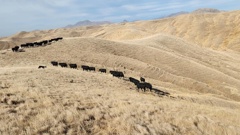 Agriculture Minister Todd McClay says Marlborough, Tasman, and Nelson districts are extremely dry and likely to get worse. Photo / Supplied / Taimate Angus