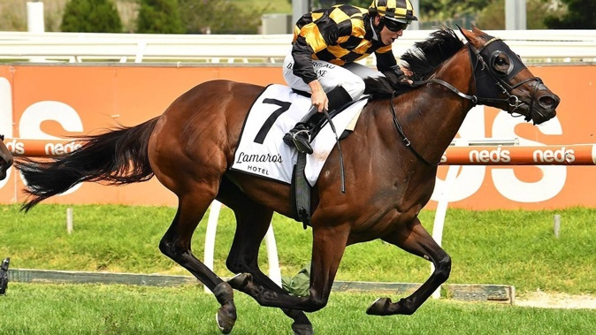 Probabeel is a two-time Karaka Millions winner.