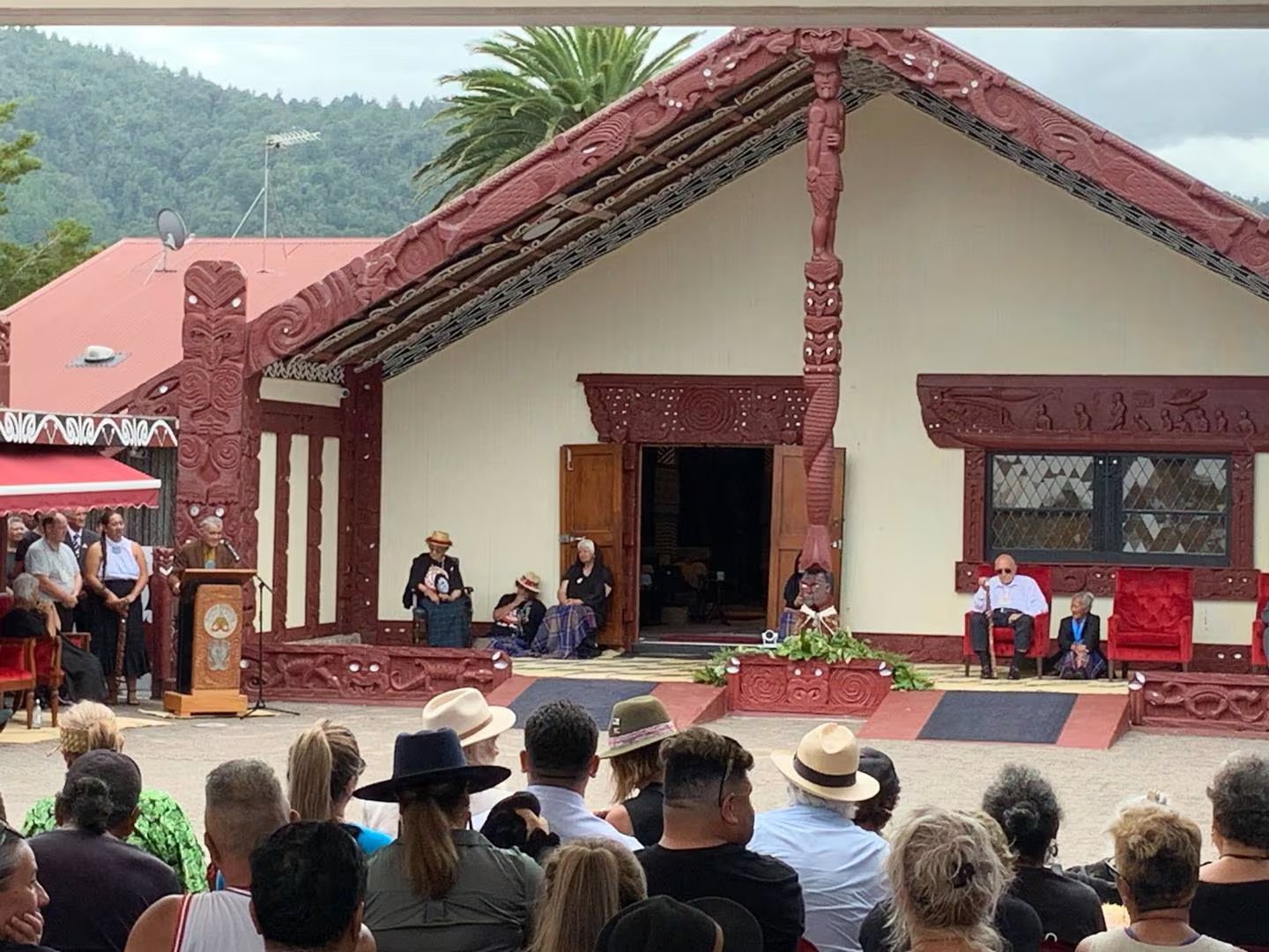 Kiingi Tuuheitia speaks to the national hui at Ngaruawahia. Photo / Adam Pearse