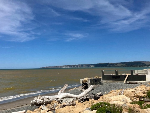 The pre-Christmas algal bloom in Te Awanga on Hawke's Bay's Cape Coast was tested for toxicity. The bloom was found to be "of low risk", the Region Council said late on Friday.