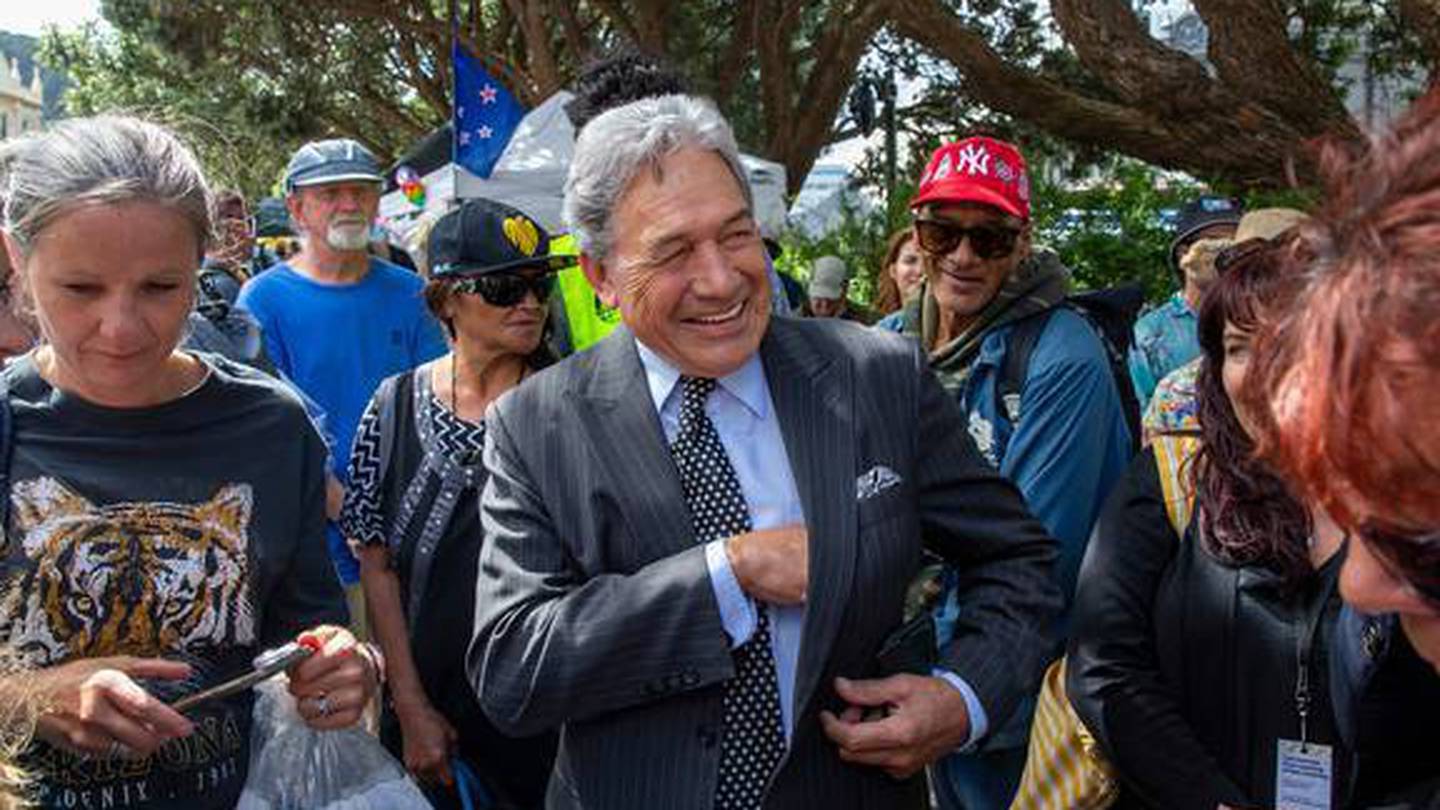 Winston Peters at the Parliamentary protest earlier this year. Photo / file