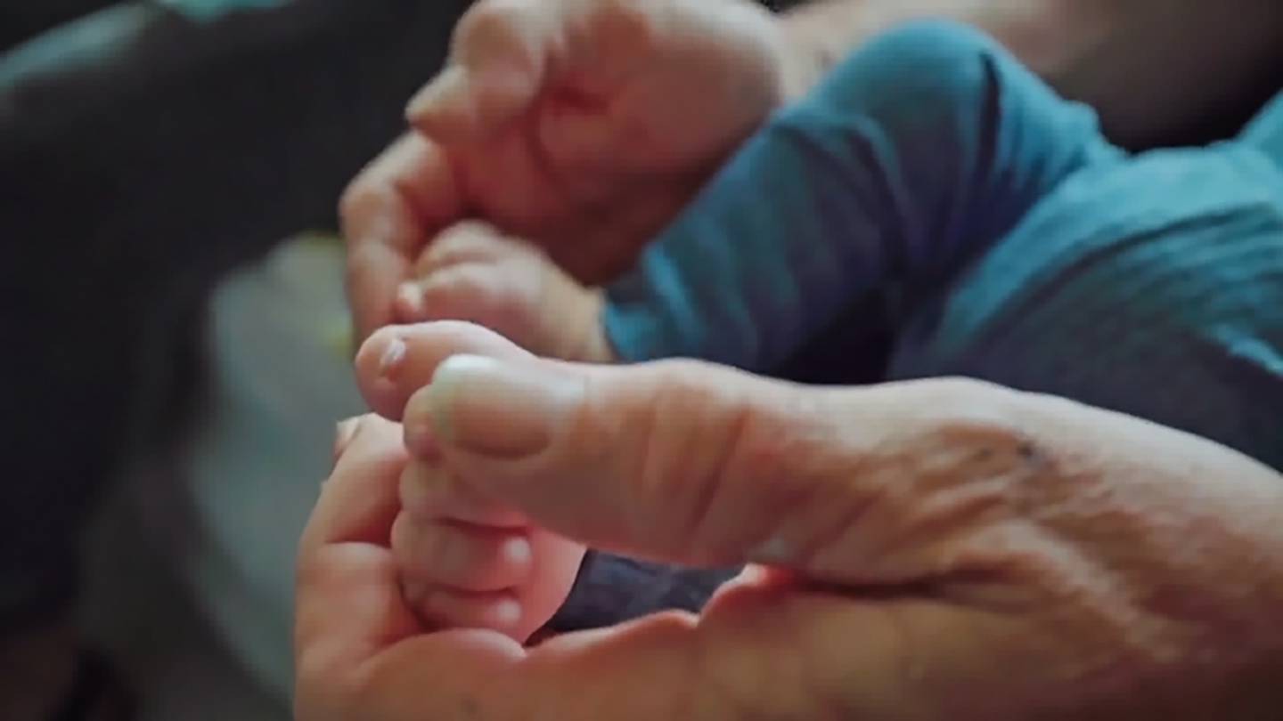  Photo / FreeNZ Media