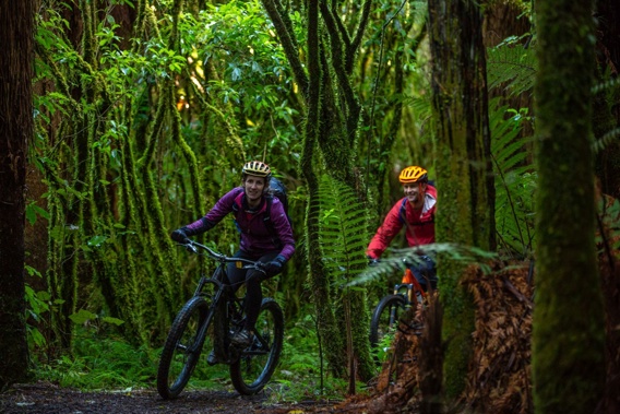 (Photo / Visit Ruapehu)