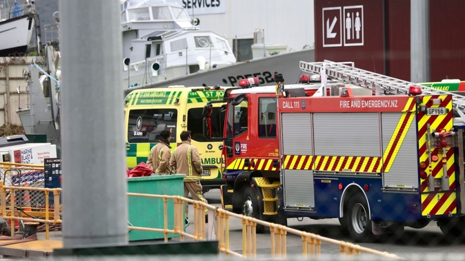 Emergency services have rescued two people from a tank onboard a ship at Lyttelton Port. Photo / George Heard