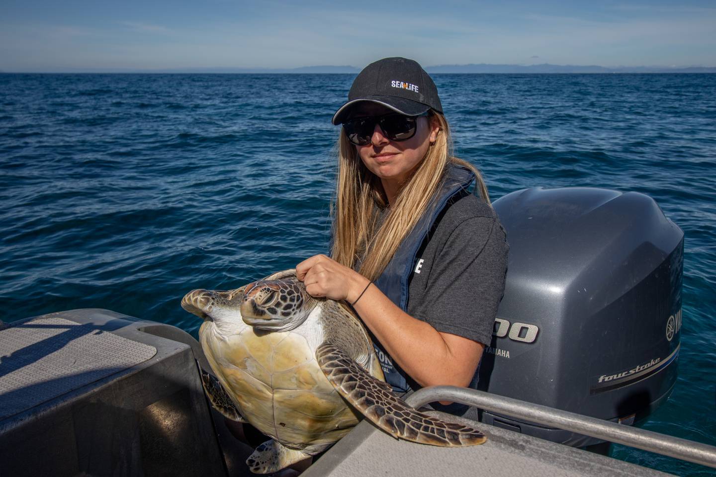 Smee was released back into the ocean after 11 months of rehabilitation. Photo / Supplied
