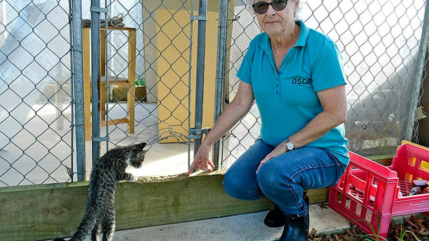 A surviving kitten inspects the gnaw marks left by the marauding dog as centre administator Kathleen Young says security will have to be upgraded. Photo / Sven Carlsson