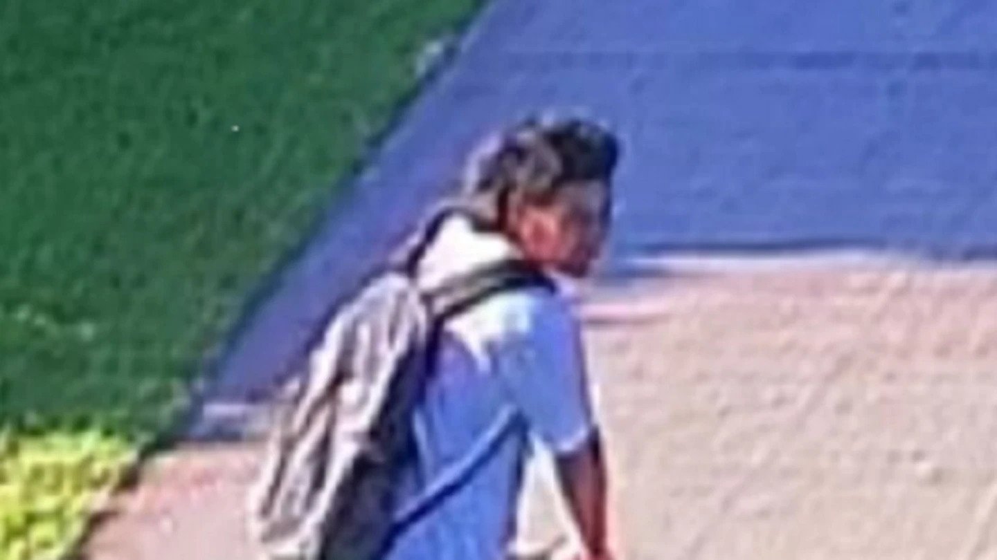 Police are seeking sightings of this male after a woman was seriously assaulted at the Waterview Shared Walkway last night. Image / NZ Police