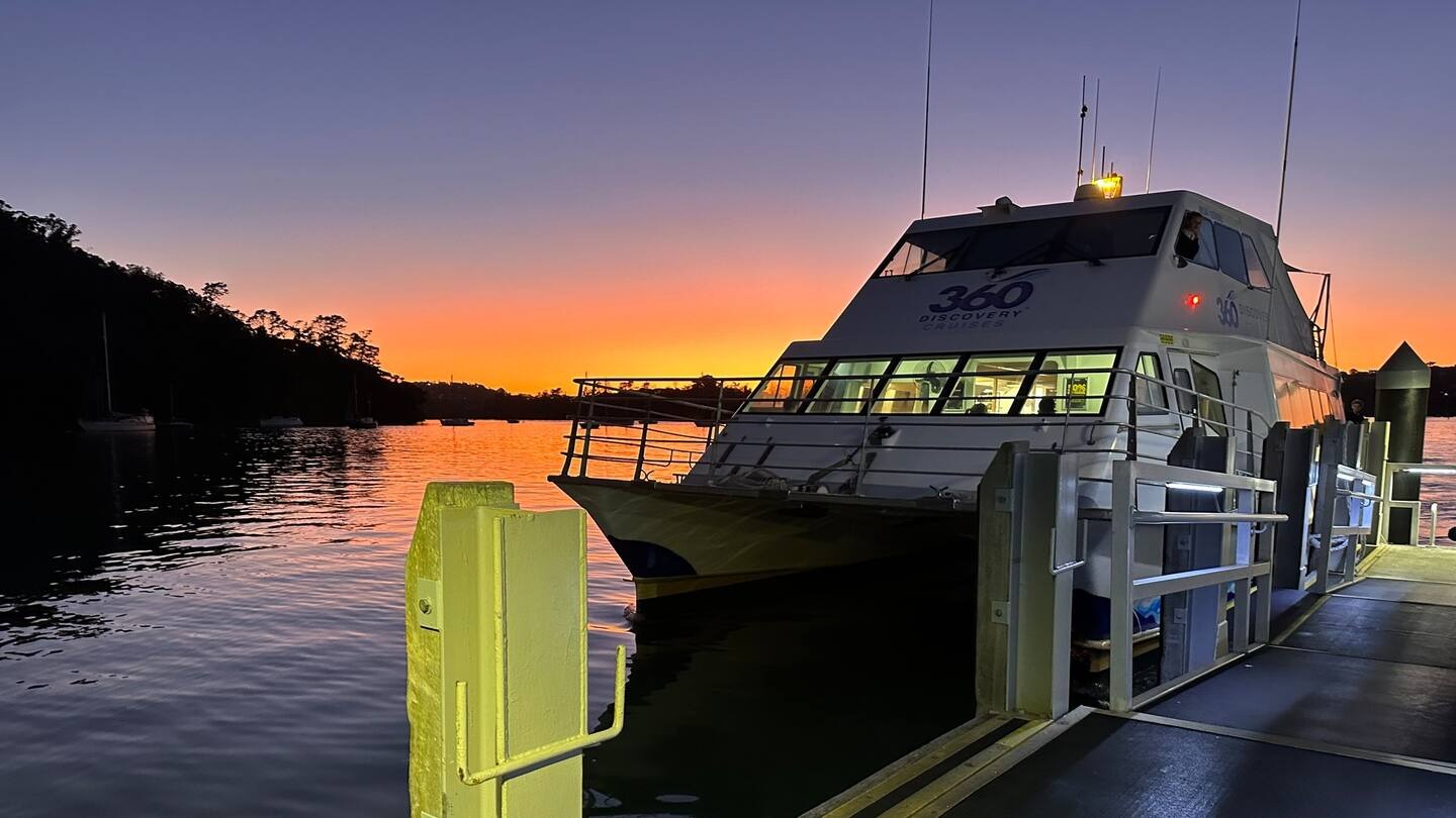 Woman rescued from Auckland harbour by passing ferry