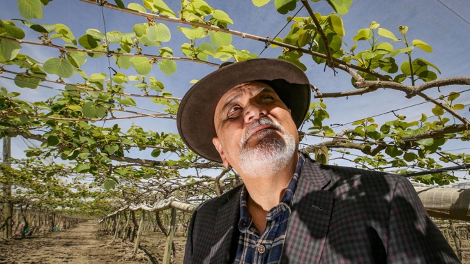 Orchardist Ratahi Cross on his kiwifruit orchard in Puketapu, which is showing signs of life again. Photo / Paul Taylor