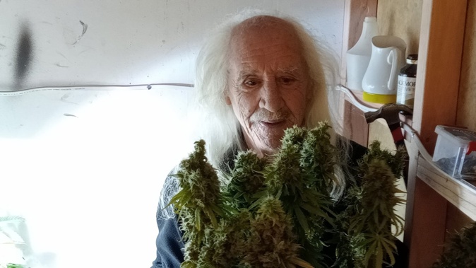 Brian Borland has gone to prison again for his tenth cannabis-related offence.