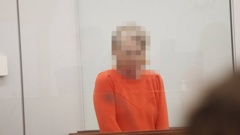 A 52-year-old teacher appeared in the Wellington District Court today, charged with the murder of pensioner Helen Gregory. Photo / Ethan Griffiths