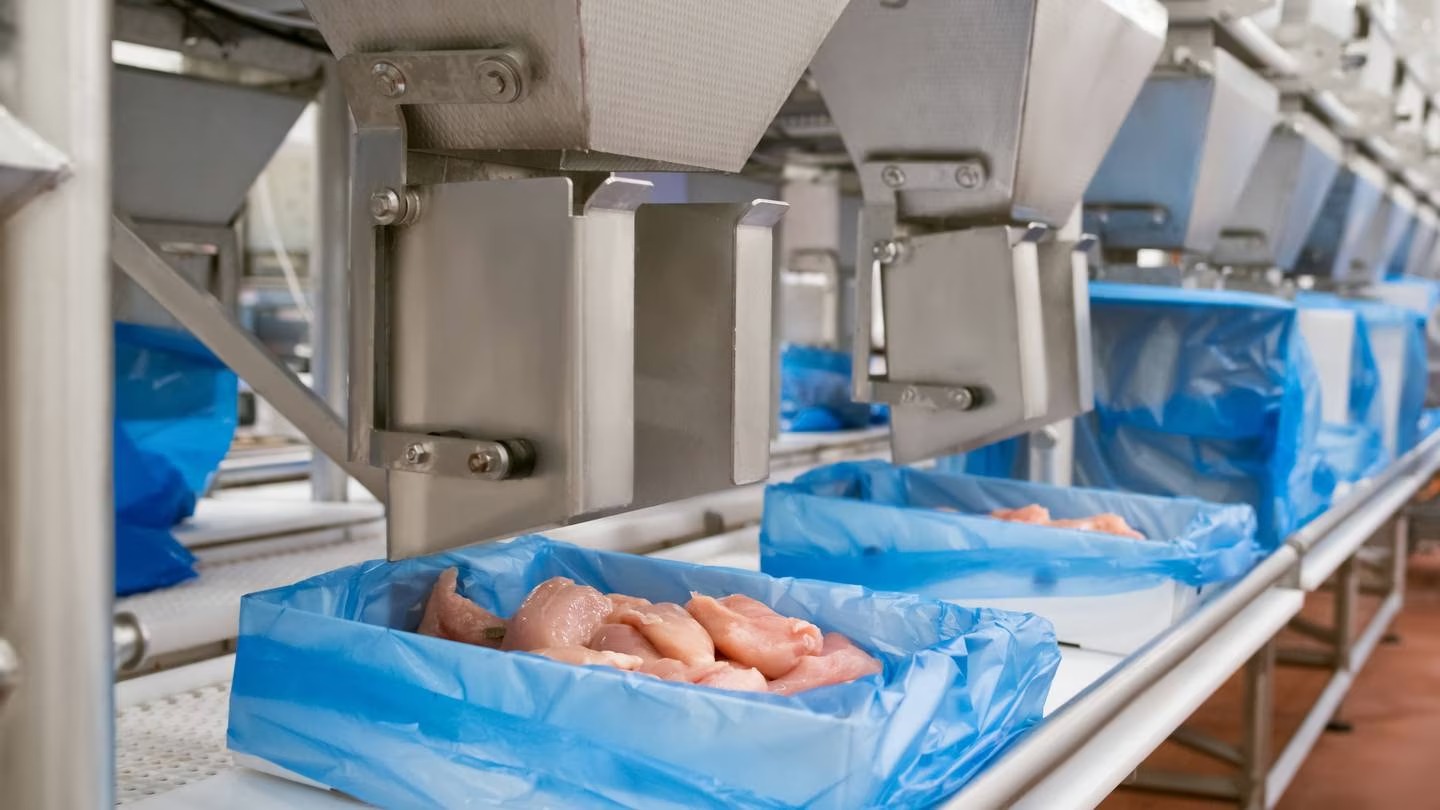 A North Island poultry production factory was justified in dismissing an electrician for failing to follow basic safety procedures. Photo / Stock Image 123RF