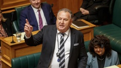 NZ First deputy leader Shane Jones. Photo / Mark Mitchell