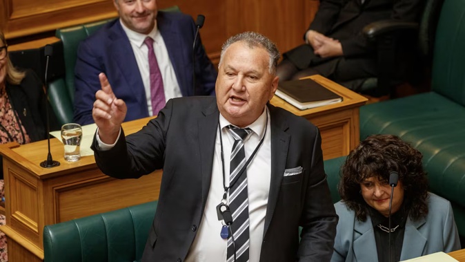 NZ First deputy leader Shane Jones. Photo / Mark Mitchell