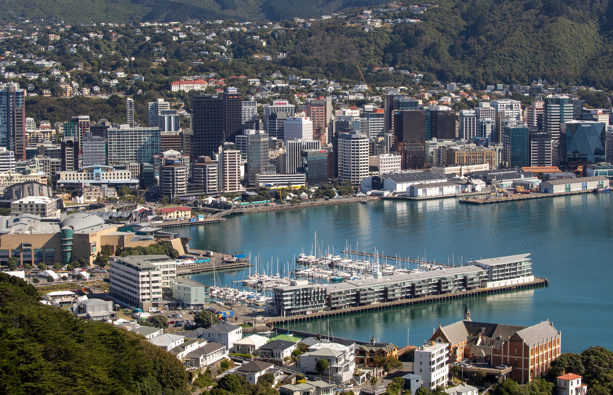 (Photo / NZ Herald)
