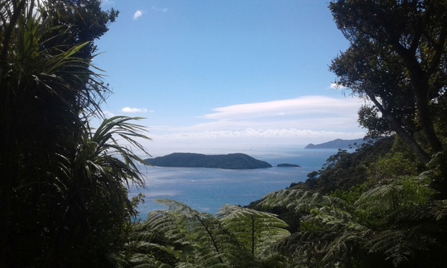 A view from Tawa Saddle on the Queen Charlotte Track. Photo / Mike Yardley