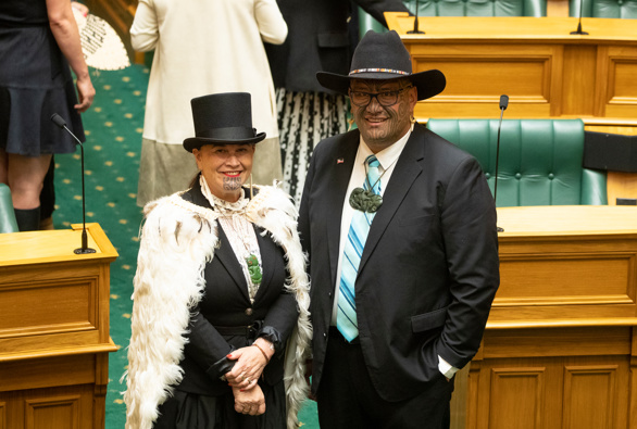 Te Pāti Māori co-leaders Debbie Ngarewa-Packer and Rawiri Waititi before the opening of Parliament in November 2020. Photo / Mark Mitchell