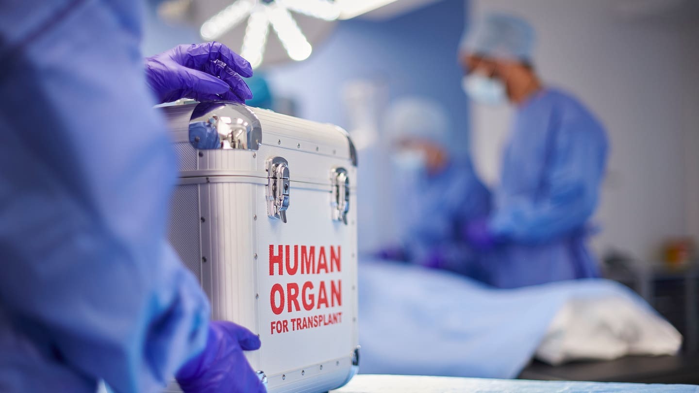 Italian toddler with faulty heart transplant dies after weeks on life support