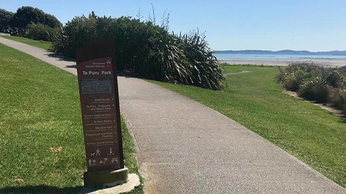 The body was found by Te Puru Park and Kellys Beach in Auckland. Photo / Supplied