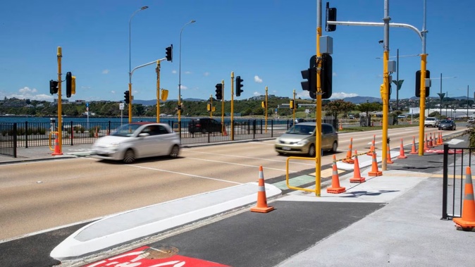 The controversial pedestrian crossing on State Highway One on Cobham Drive in Wellington. Photo / Mark Mitchell