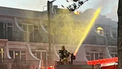 Firefighters battling the fire in the roof. Photo / Niki Hamilton-Irvine