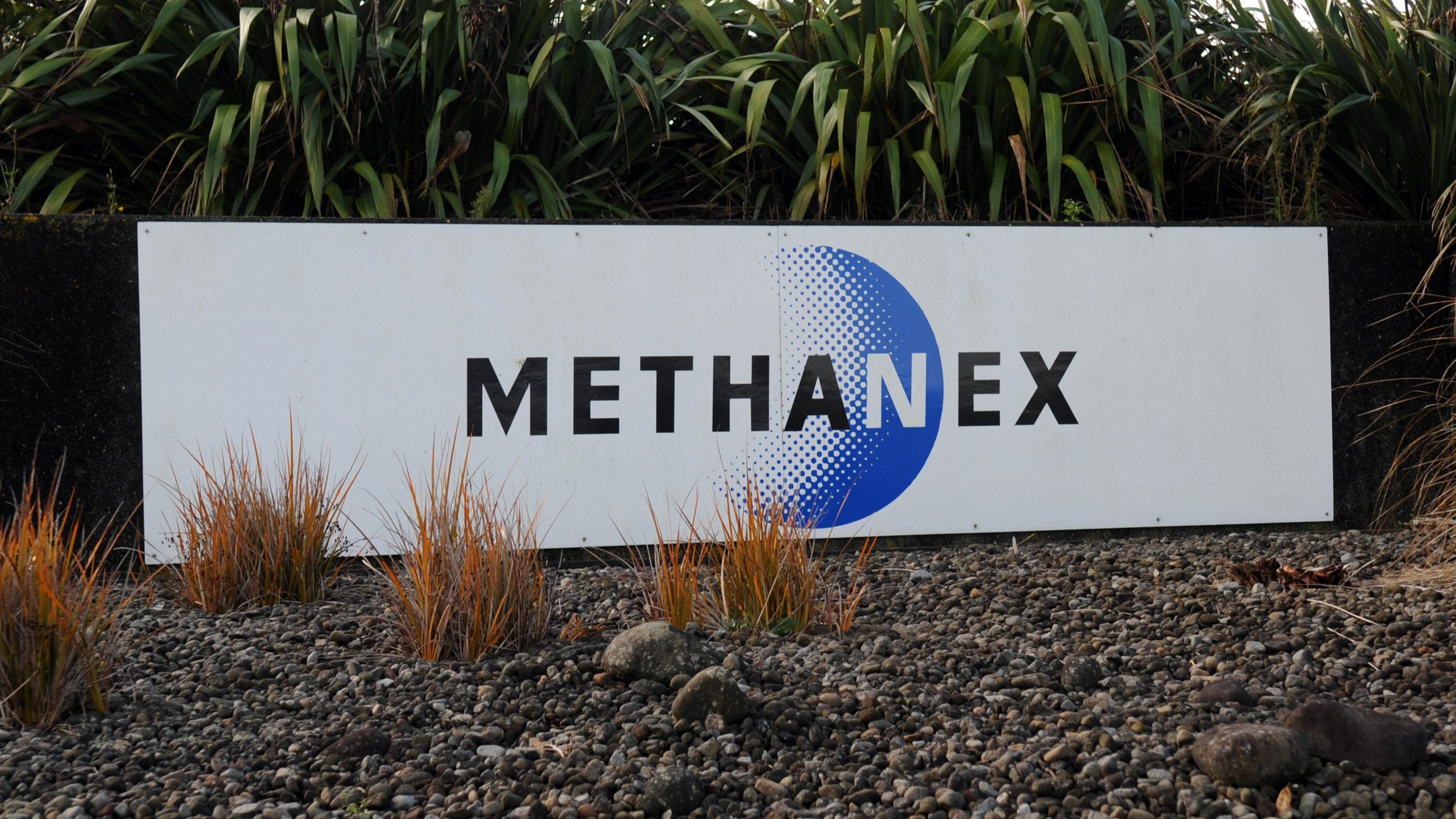 Photo / NZPA / Ross Setford