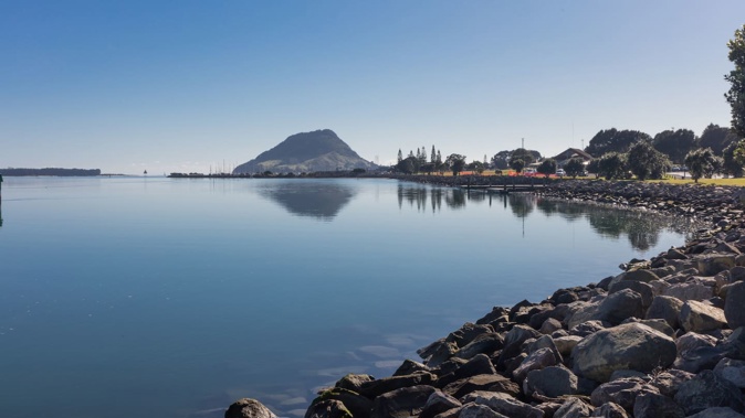 Marine Park at Sulphur Point in Tauranga. Photo / University of Waikato