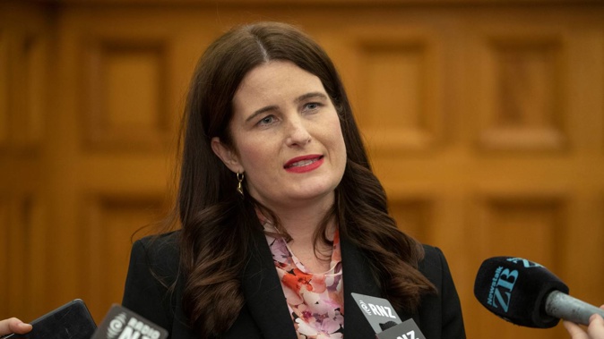 Nicola Willis. Photo / NZME
