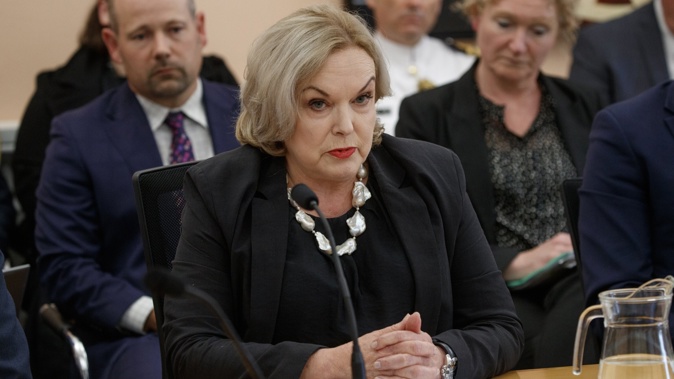 Judith Collins. Photo / Mark Mitchell