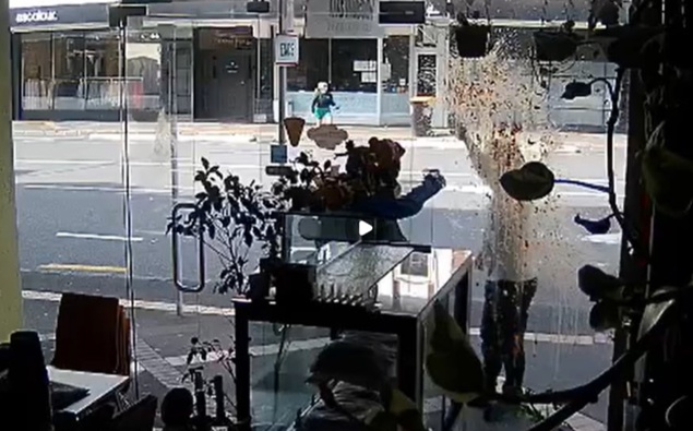 Auckland cafe owner says restaurateur threw spaghetti, made racist remarks