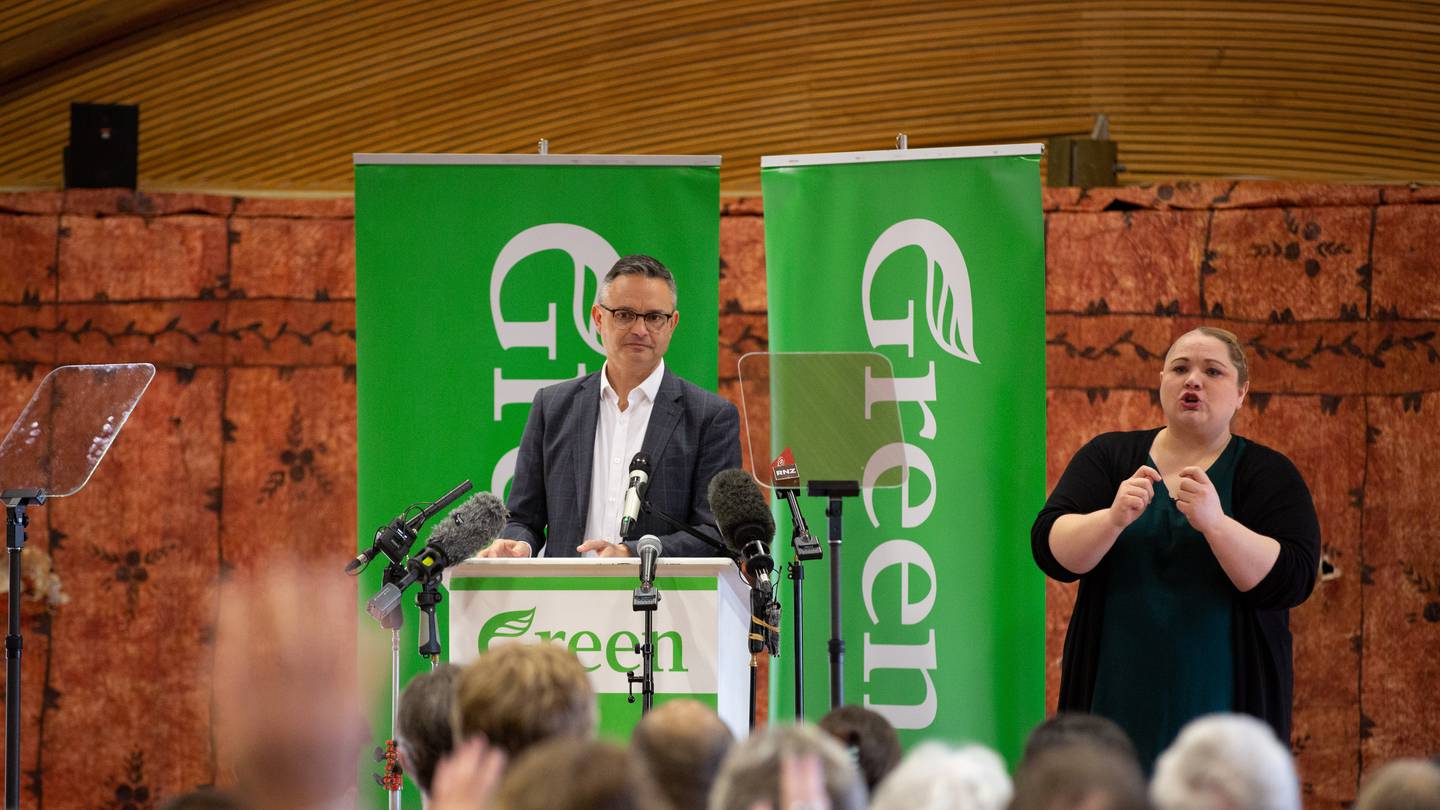 The Green Party has reported the damage and remediation efforts to Hutt City Council. Photo / Sylvie Whinray