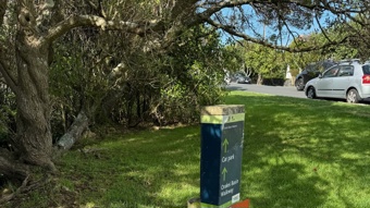 Rubbish bin may make return after walkers dump dog poo in Auckland suburb 
