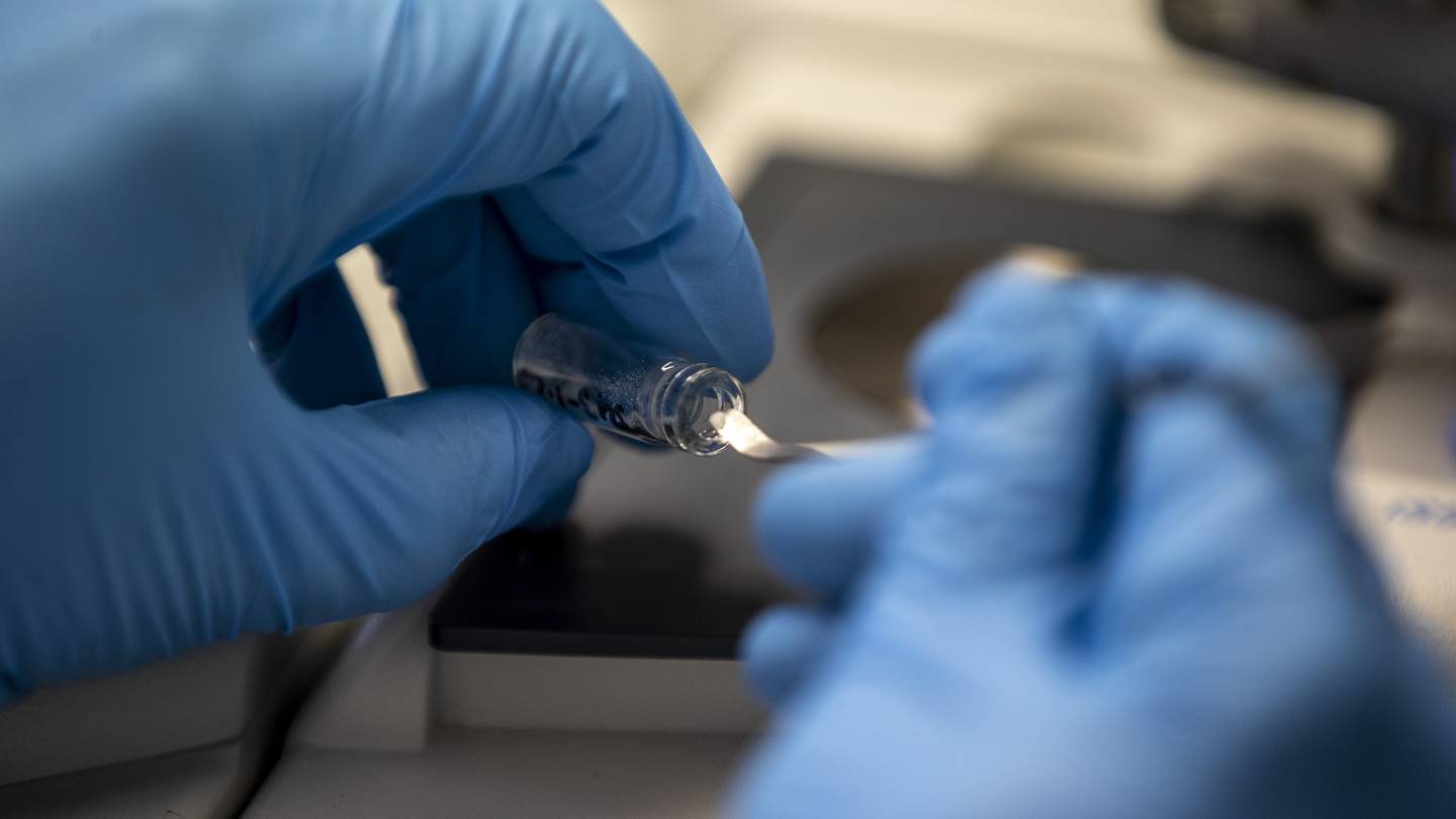 The Canterbury Medical Research Foundation has pledged $824,037 towards researching a variety of causes, including bowel cancer and mental distress. Photo / Michael Craig