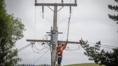 A Unison fault man working on power lines in Hawke's Bay following Cyclone Gabrielle. Photo / NZME