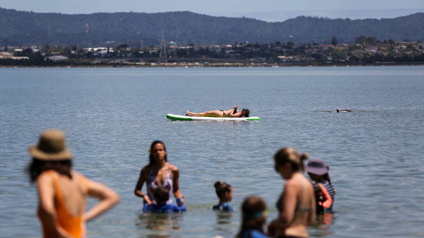 Aucklanders cool off at Point Chevalier Beach in November – a month when coastal waters around the country warmed dramatically. Photo / Sylvie Whinray