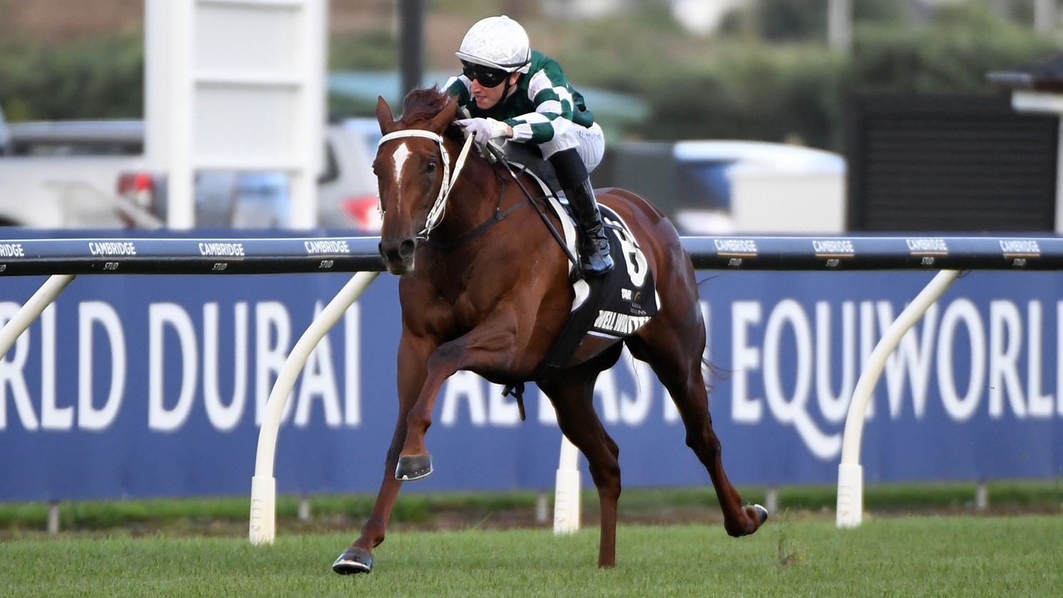 "A monster day": NZ's richest horse race takes place in Auckland 