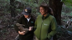 Kiwi Coast Far North co-ordinator Lesley Baigent with DoC Bay of Islands operations manager Bronwyn Bauer-Hunt and a kiwi about to be released into its new home. Photo / Peter de Graaf, RNZ