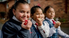 More than 5840 tamariki in 35 schools and kura in Hawke’s Bay will receive a healthy snack of fresh fruit or vegetables each school day.