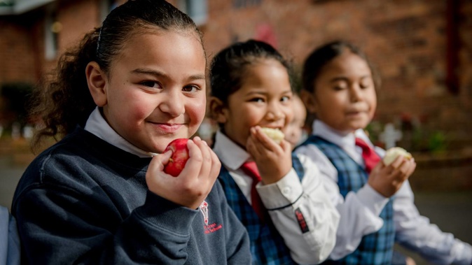 More than 5840 tamariki in 35 schools and kura in Hawke’s Bay will receive a healthy snack of fresh fruit or vegetables each school day.