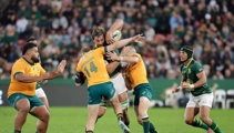 Springboks v Wallabies: What can fans expect ahead of this weekend?