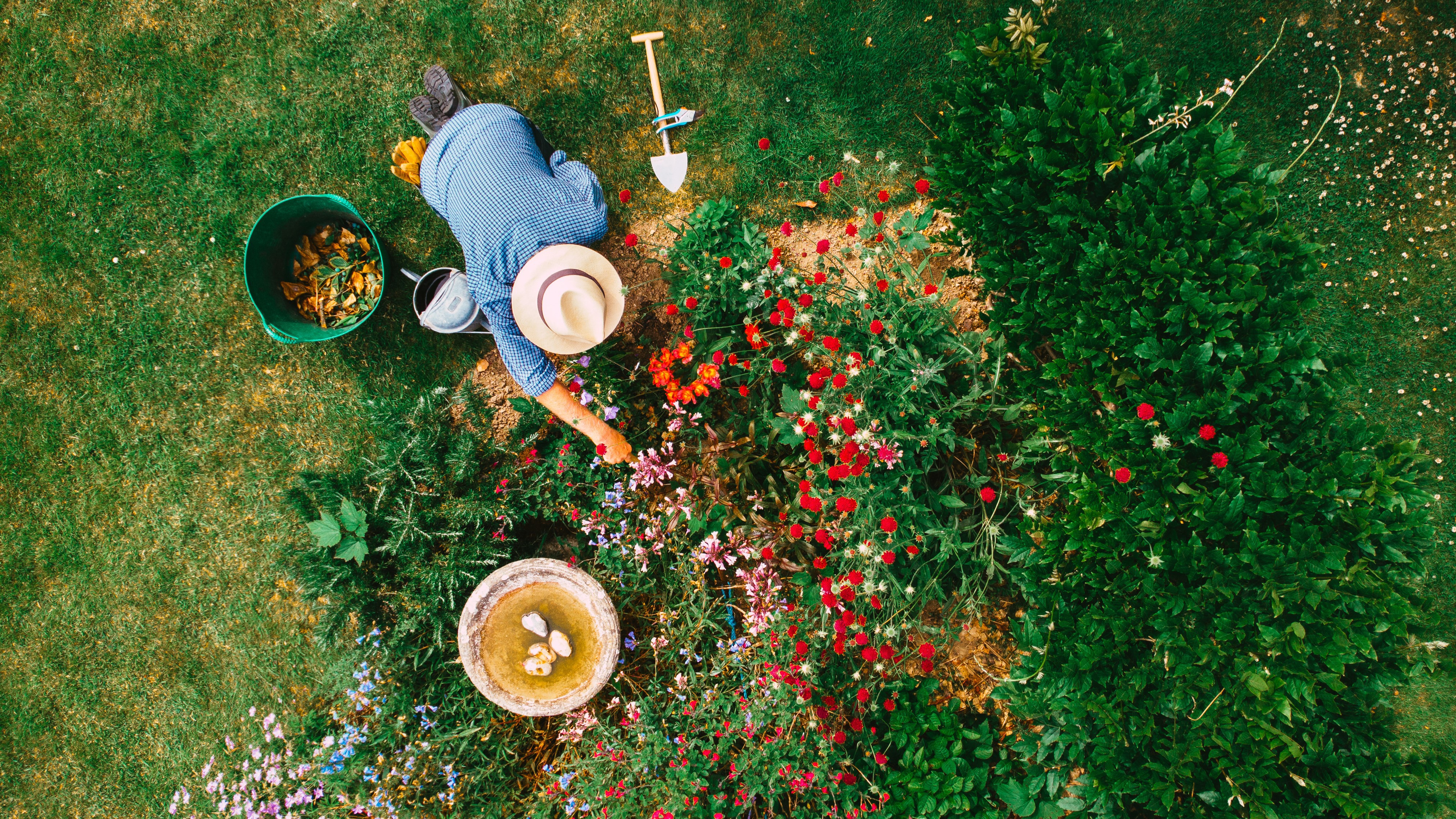 Ruud Kleinpaste: How we plan our garden