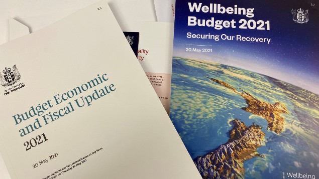 Budget 2021. (Photo / Aaron Dahmen)