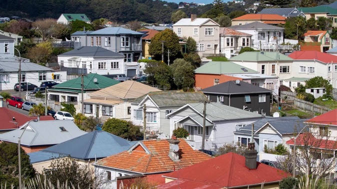 A Newtown budgeting and advocacy service says the lack of social housing in Wellington is putting pressure on former refugees. Photo / Mark Mitchell