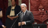 Winston Peters speaking at Waitangi this year. Photo / Jason Dorday